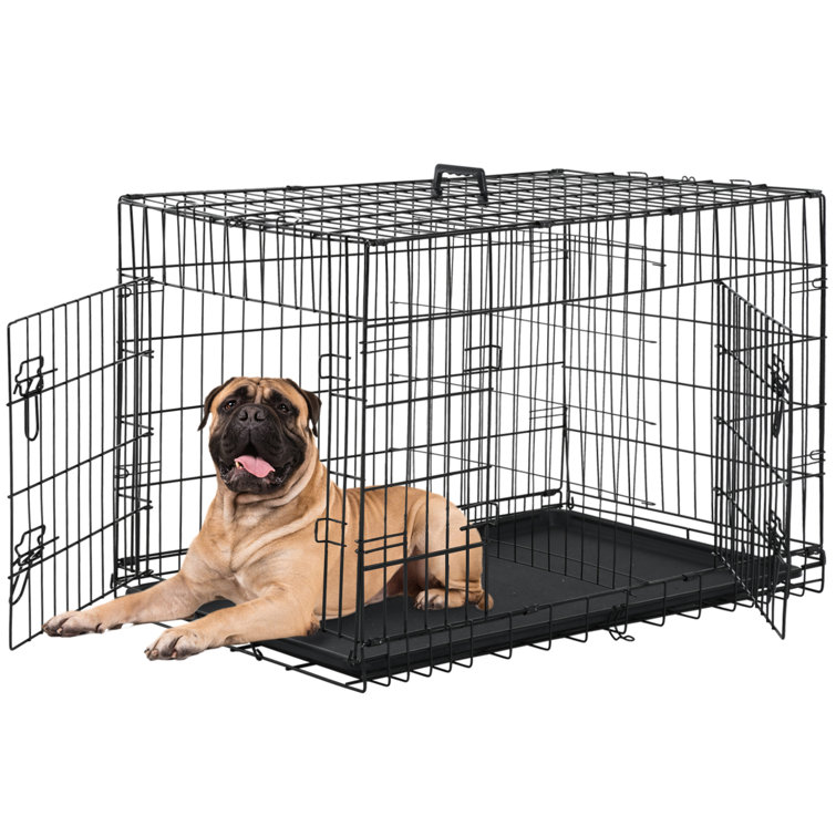 Tucker Murphy Pet Quake 36 Inch Collapsible Pet Crate Reviews